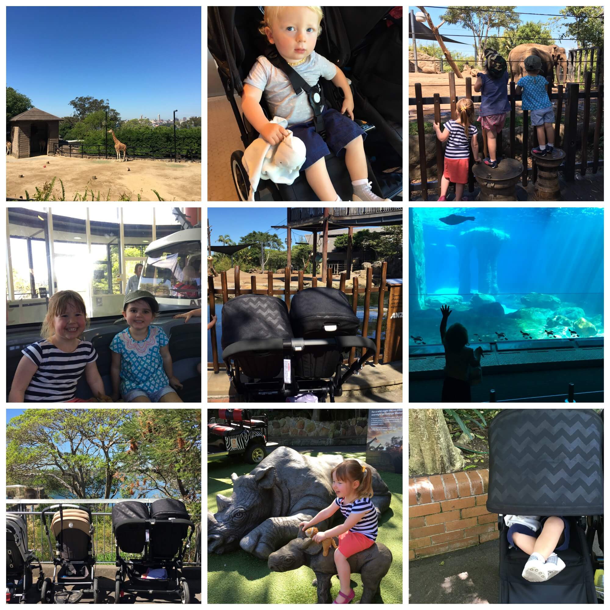 bugaboo donkey review / double pram