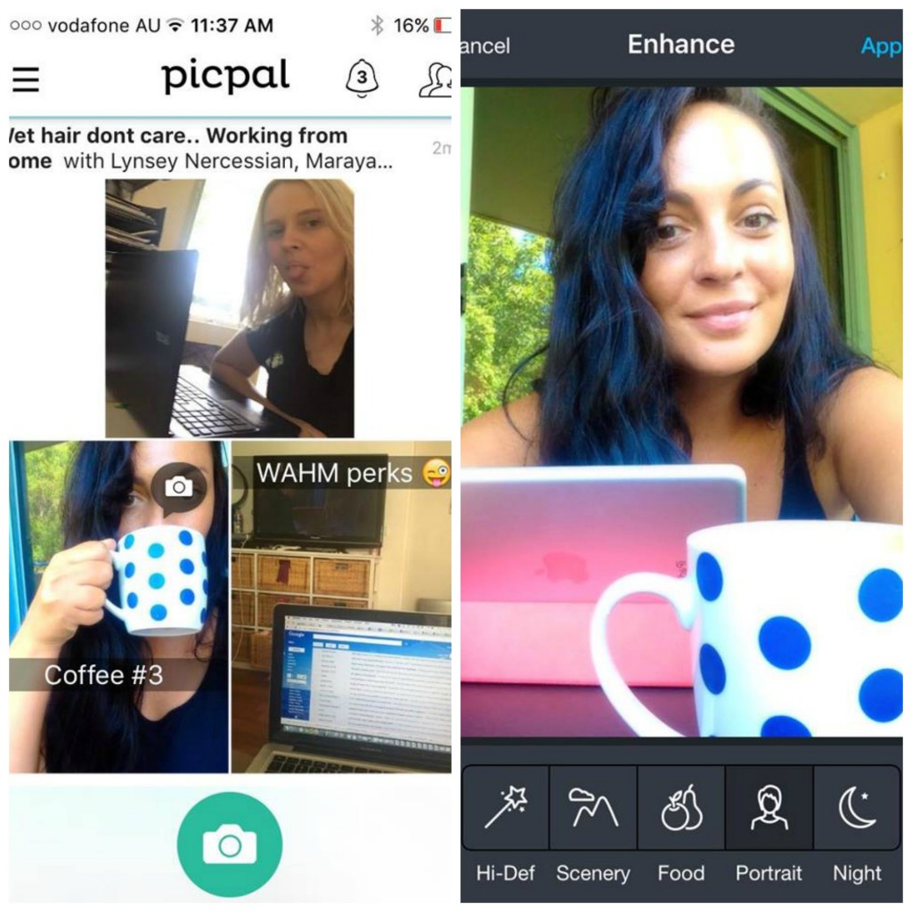 PicPal