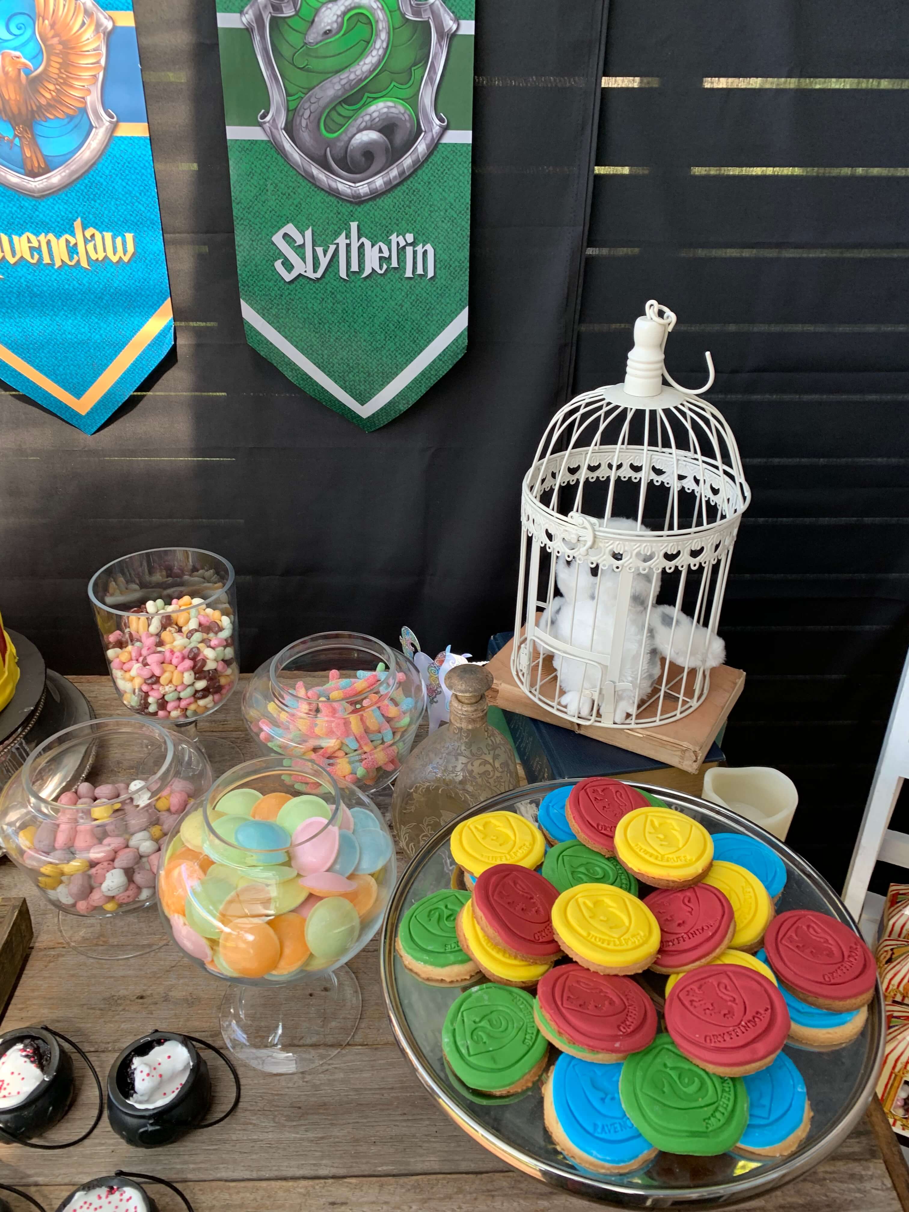 Harry Potter party