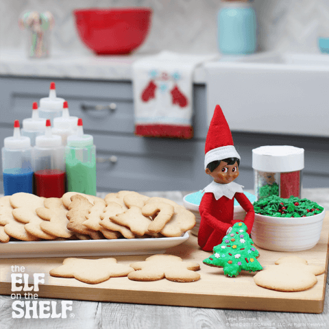 Elf on a Shelf ideas